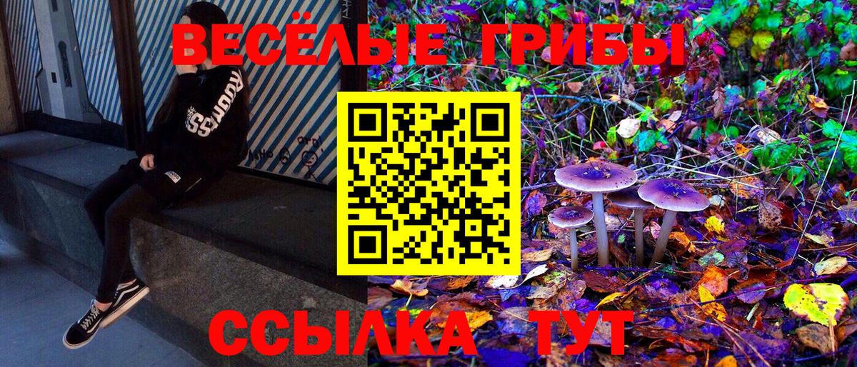 Благовещенск  Псилоцибиновые грибы Psilocybe  Вход с VPN 